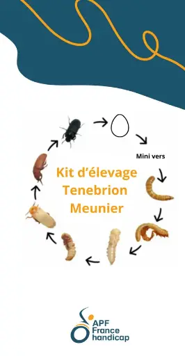 Kit d'élevage (à venir)