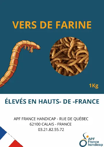 Vers de farine vivant 1kg