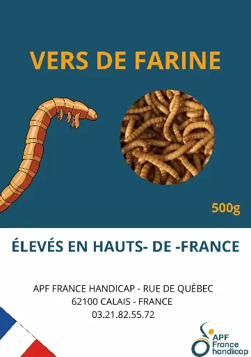 Vers de farine vivant 500g